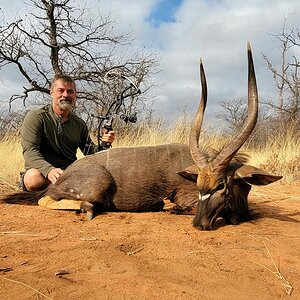 Nyala Bow Hunting