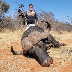 Buffalo Bow Hunt South Africa