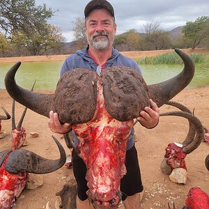 Buffalo Bow Hunt South Africa