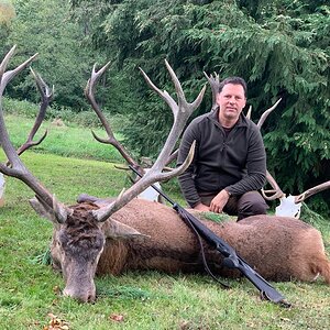 Red Stag Hunting Romania