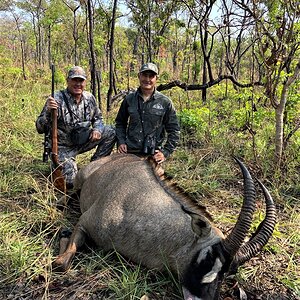 East African Roan Hunt Tanzania