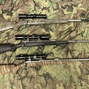 375 Ruger Rifles