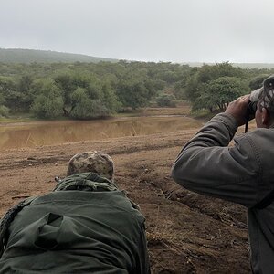 90 Yard Aim Crocodile Hunt