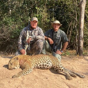 Hunting Leopard in Tanzania