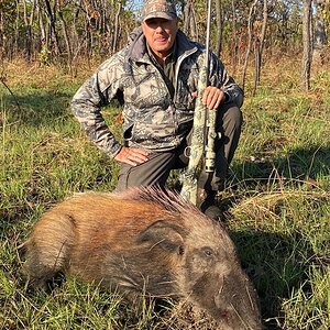 Hunting Bushpig in Tanzania