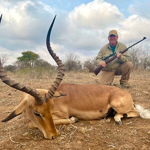 Impala Hunt Zimbabwe