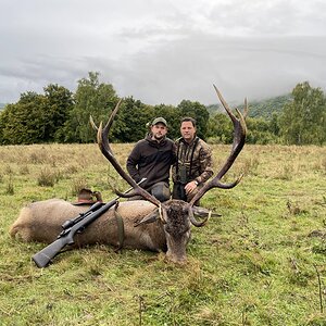 Red Stag Hunting Romania