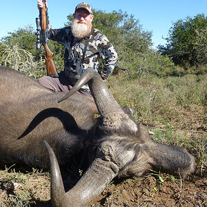 Buffalo Cow Hunting Grahamstown South Africa