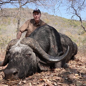 Buffalo Hunt