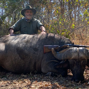 Buffalo Hunting Zimbabwe