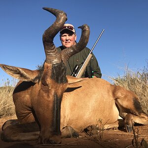 Red Hartebeest Hunt