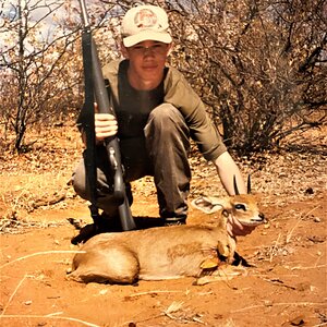 Hunting Steenbok