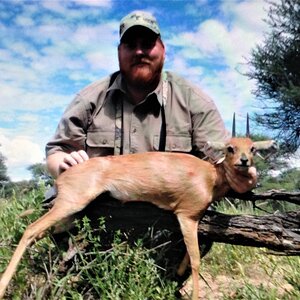 Steenbok Hunt Namibia