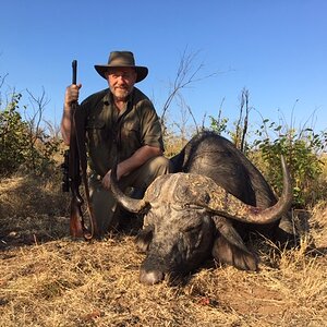 Buffalo Hunt Zimbabwe