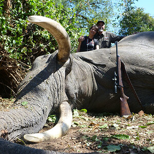 Elephant Hunt Zimbabwe