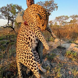 Leopard Hunt Tanzania