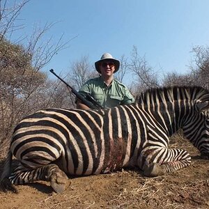 Zebra Hunt South Africa