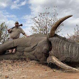 Elephant Hunting South Africa