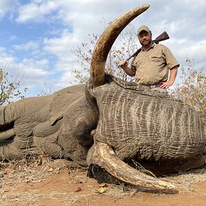 Elephant Hunting South Africa