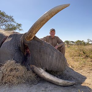 Hunting Elephant Botswana