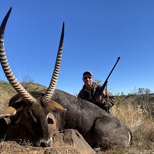 Waterbuck Hunting South Africa