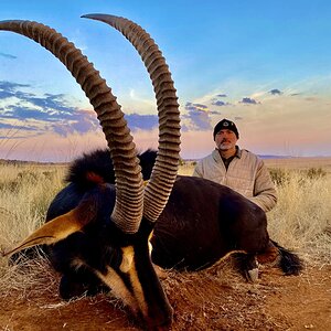 Sable Hunting South Africa