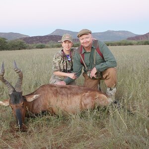 Red Hartebeest Hunt Namibia