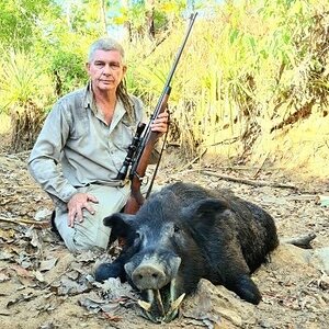 Hunting Pig Australia