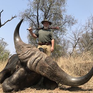 Buffalo Hunting South Africa