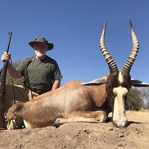 Blesbok Hunting South Africa