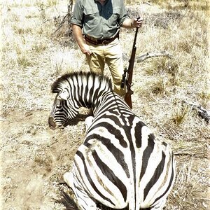 Zebra Hunting South Africa