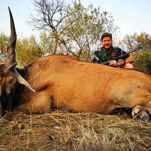 Eland Hunt South Africa