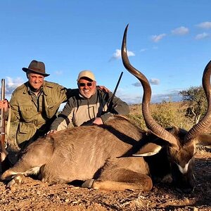 Kudu Hunting Karoo South Africa