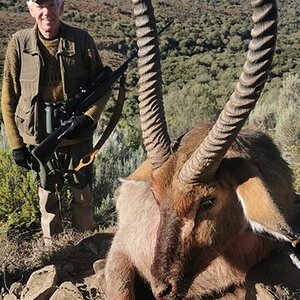 Waterbuck Hunting Karoo South Africa