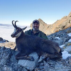 Chamois Hunting New Zealand