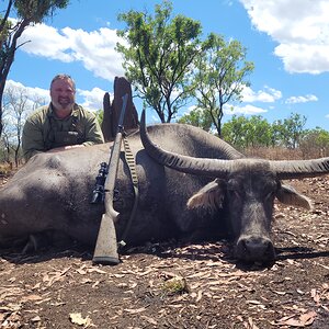 Asiatic Water Buffalo Hunt Australia