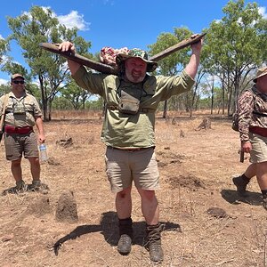 Asiatic Water Buffalo Hunt Australia