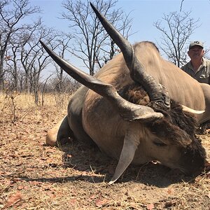 Eland Hunting