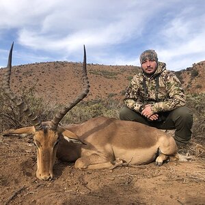 Impala Hunt Karoo South Africa