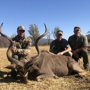 Kudu Hunt Karoo South Africa