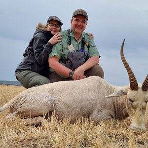 White Blesbok Hunt Free State South Africa