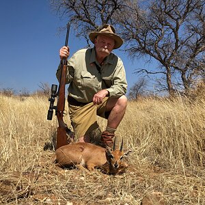 Steenbok Hunt Namibia