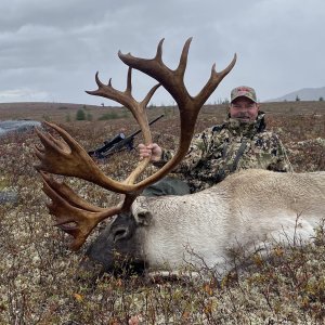 Woodland Caribou Hunt Canada