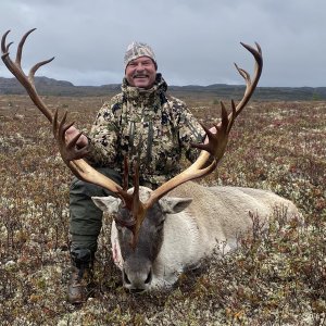 Woodland Caribou Hunt Canada