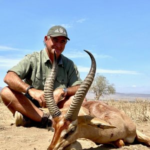 Gerenuk Hunt Tanzania