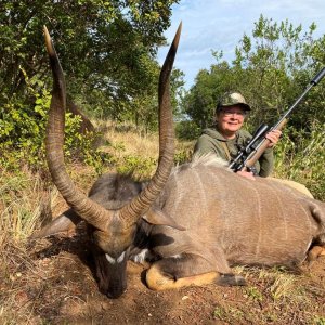 Nyala Hunt South Africa