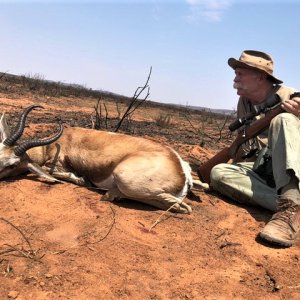 Springbok Hunting Namibia