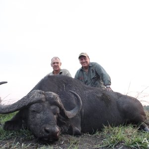 Buffalo Hunt Mozambique