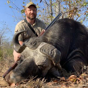 Buffalo Hunting South Africa