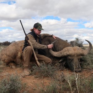 Buffalo Hunting South Africa